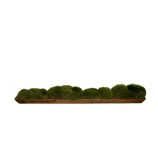 Wood Tray With Moss